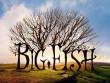 HBO 4/3: Big Fish