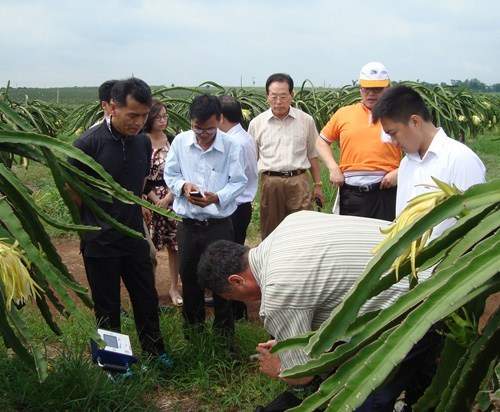 Con đường hoàn nguyên của loài người - Kỳ 4 : Tiến tới một nghề nông không-làm-gì-cả 2