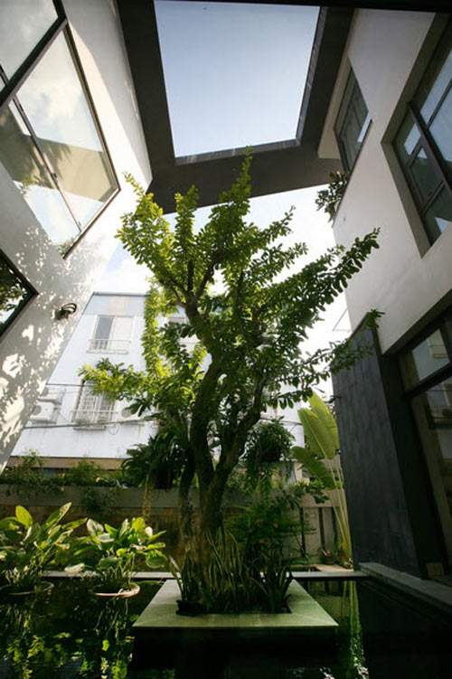 Biệt thự Hà Nội sừng sững cây xanh giữa nhà 39
