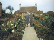 Cảm động đôi vợ chồng già cùng nhau trồng vườn hoa