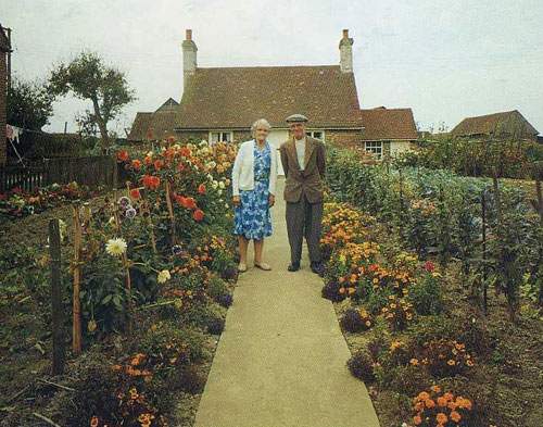 Cảm động đôi vợ chồng già cùng nhau trồng vườn hoa 15