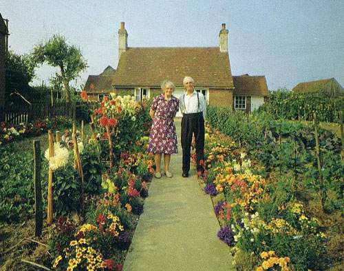 Cảm động đôi vợ chồng già cùng nhau trồng vườn hoa 12