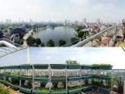 Hà Nội: Phát thèm vườn rau tầng 10 nhìn ra hồ lộng gió