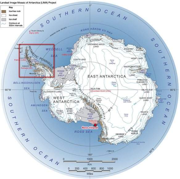 Một lượng băng 300km khối đột ngột tan chảy ở vùng bán đảo Nam Cực 2