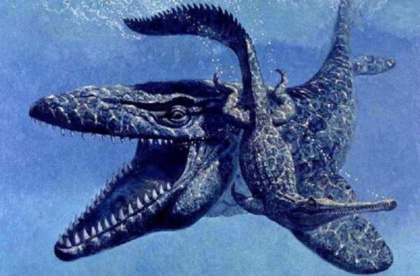 10 quái vật ăn thịt kinh hoàng nhất thời tiền sử 9