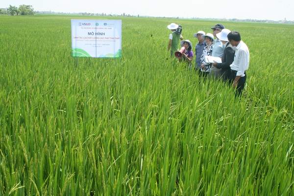Quan chức Mỹ ra đồng trò chuyện cùng nông dân Nam Định 6