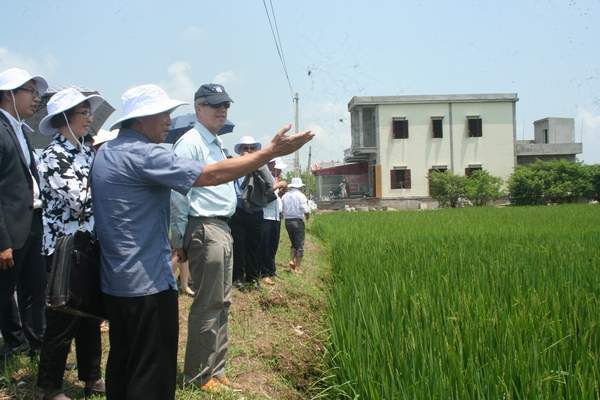 Quan chức Mỹ ra đồng trò chuyện cùng nông dân Nam Định 4