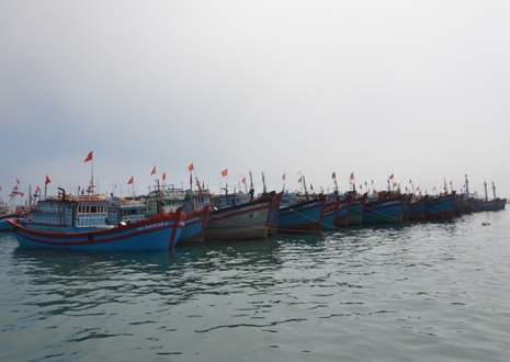 Hơn 200 khách du lịch mắc kẹt tại đảo Lý Sơn