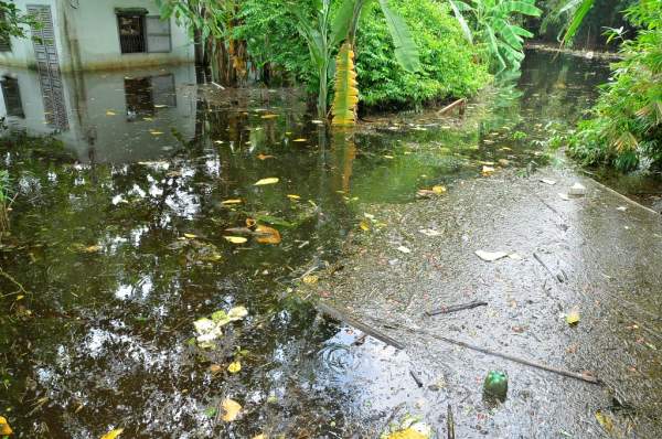 Trận mưa kỷ lục ở TPHCM: Sau 1 tuần nước vẫn bủa vây nhà dân 8