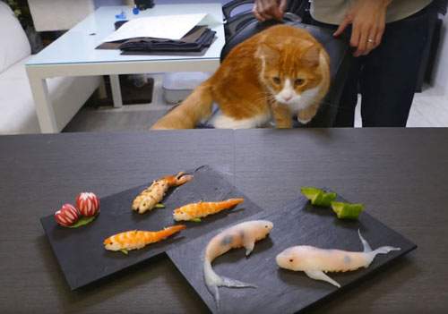 Các bước làm sushi hình con cá ngon - đẹp - lạ mắt 13
