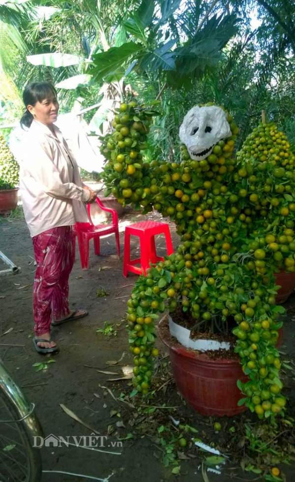 Quất cảnh tạo hình khỉ, rồng, lân… “siêu độc” ở miền Tây 12