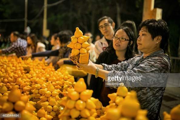 Cây "Ngũ đại đồng đường" nhuộm vàng ban thờ ngày Tết 15