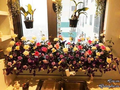 "Vườn hồng" đẹp mê hồn trên cửa sổ nhà bếp của mẹ Hà Thành 20 năm đi chợ "săn" hoa 21