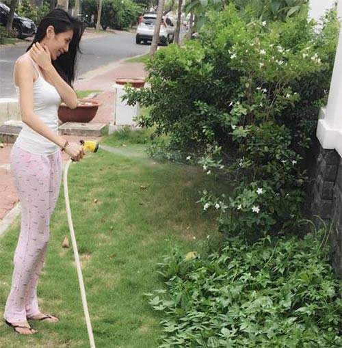 Vườn rau sạch "vạn người mê" của ba người đẹp "nóng bỏng" nhất showbiz Việt 21