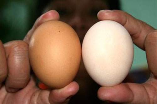 Cách đơn giản giúp chọn trứng gà sạch, an toàn, không lo bị tẩy trắng 6