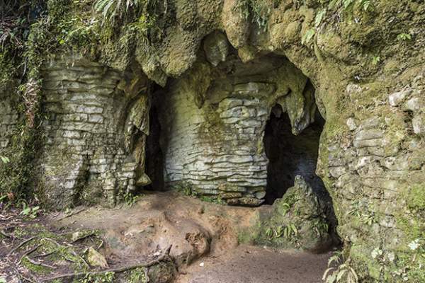Điều kỳ diệu trong hang động 2 triệu năm ở New Zealand