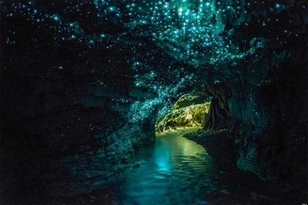 Điều kỳ diệu trong hang động 2 triệu năm ở New Zealand 2