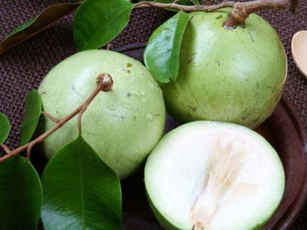 Bạn đã biết 20 tác dụng tuyệt vời của dấm táo là gì chưa? 8