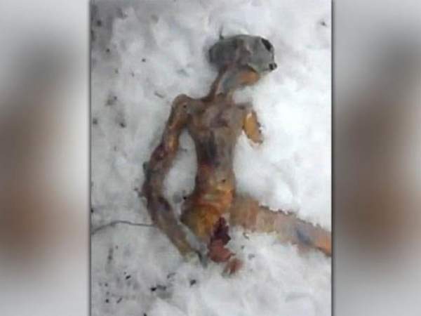 Video: Tìm thấy xác người ngoài hành tinh ở Thụy Sĩ? 3