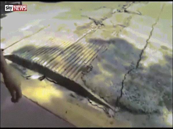 414 người chết, 6.500 bị thương vì động đất kinh hoàng ở Iran, Iraq 11