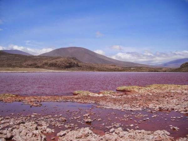Giải mã bí ẩn hồ nước có màu đỏ như máu ở Chile 4