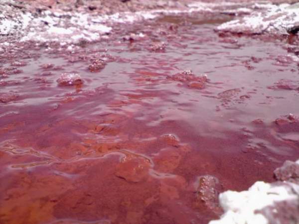 Giải mã bí ẩn hồ nước có màu đỏ như máu ở Chile 5