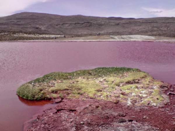 Giải mã bí ẩn hồ nước có màu đỏ như máu ở Chile 9