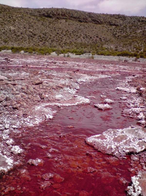 Giải mã bí ẩn hồ nước có màu đỏ như máu ở Chile 7