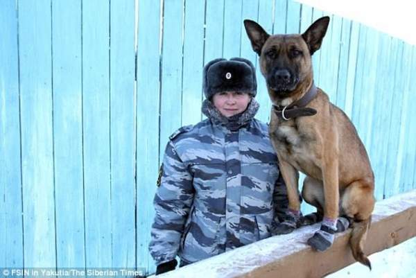 Chó 2,3 tỉ đồng làm "cai ngục" ở nhà tù cẩn mật nhất Nga