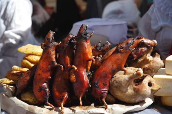 Chuột lang nướng, món đặc sản gây tranh cãi "nảy lửa" ở nhiều quốc gia