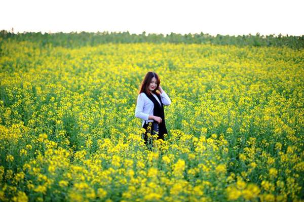 Ngẩn ngơ ngắm cánh đồng hoa cải vàng nở rộ ở ngoại thành Hà Nội 4