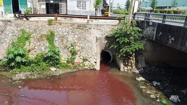 Kinh ngạc với màu nước kênh gần sân bay Tân Sơn Nhất 2