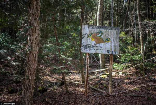 Bên trong khu rừng tự sát ám ảnh nhất nước Nhật