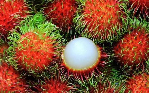 Việt Nam vinh dự sở hữu 3 trong 10 loại quả hiếm nhất thế giới 9