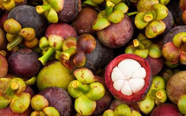 Việt Nam vinh dự sở hữu 3 trong 10 loại quả hiếm nhất thế giới 3