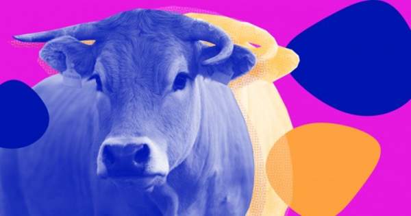 "Hack" khuẩn đường ruột của loài bò có thể mang lại nhiều thịt hơn và giảm ô nhiễm