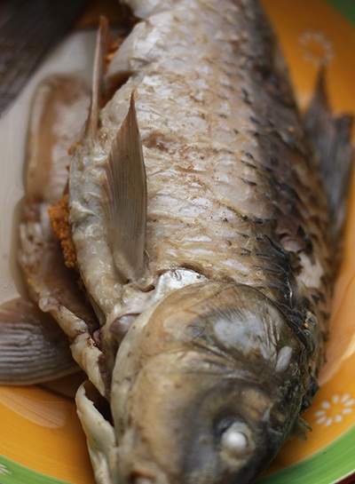 Cách nấu cháo cá chép thơm ngon, bổ dưỡng cho bà bầu 2