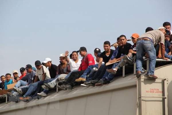 Chính quyền Trump "bắt rồi thả" 100.000 người nhập cư trái phép