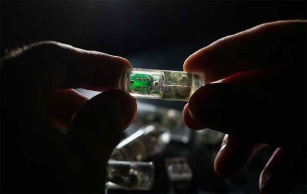 MIT phát triển "vi khuẩn trên chip" có khả năng phát hiện chảy máu dạ dày