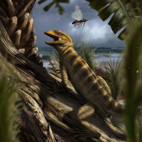 Hóa thạch tiết lộ tổ tiên của thằn lằn và rắn ngày nay