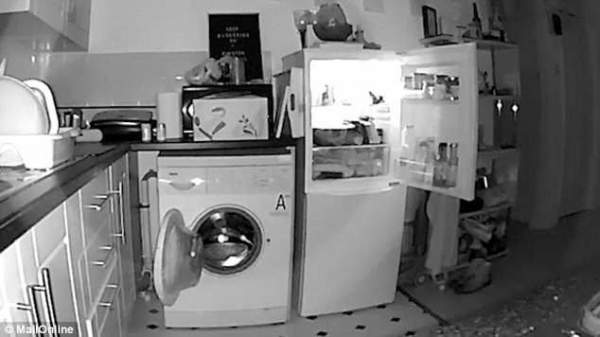 Chủ nhà lắp camera phát hiện tủ lạnh và máy giặt "tự mở cửa" mỗi đêm