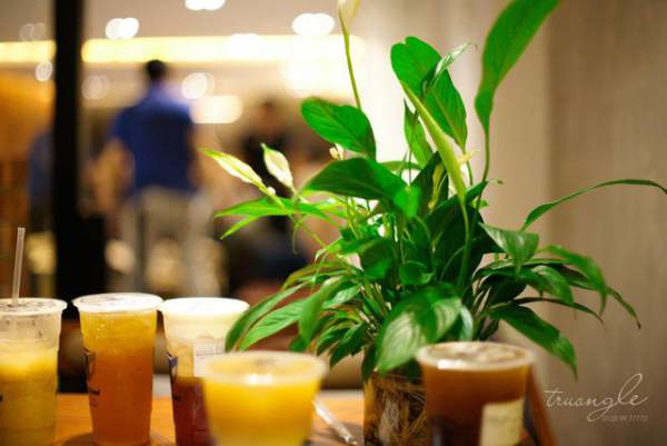 Cubicland Coffee & Tea ra mắt sản phẩm Lục trà tua-tua 3