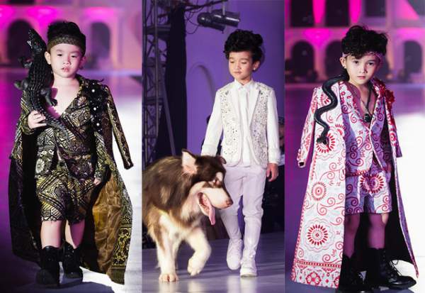 Độc đáo màn trình diễn thời trang trẻ em với thú cưng tại Hà Nội