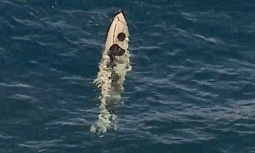 Cá mập hổ dài 4m húc lật thuyền, tấn công người ở Australia