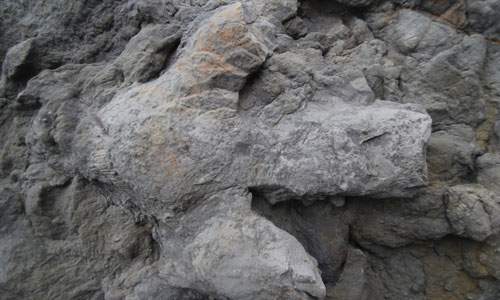 Hàng loạt dấu chân khủng long phát lộ sau bão tại Anh