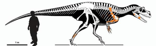 Lộ diện loài khủng long ăn thịt cổ xưa nhất từng tồn tại, dài 7,5m và nặng 1 tấn 2