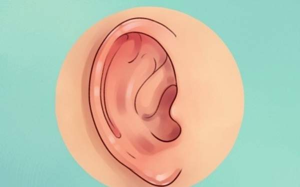 Sự thật thú vị về đôi tai hầu hết mọi người không biết 5