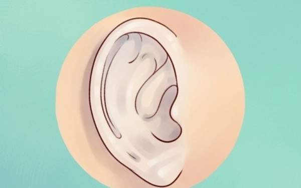 Sự thật thú vị về đôi tai hầu hết mọi người không biết 4