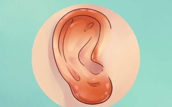 Sự thật thú vị về đôi tai hầu hết mọi người không biết 6