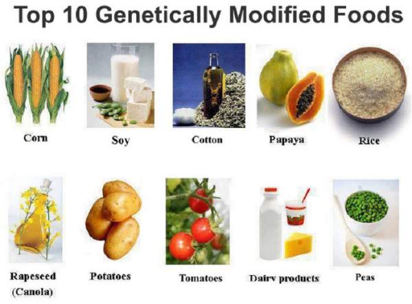 Cách nhận biết thực phẩm biến đổi gene GMO 2